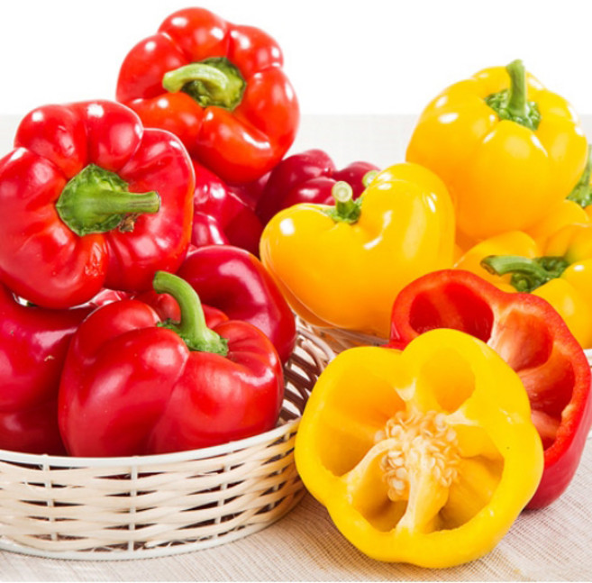 [이베따] 신선한 국내산 파프리카 1.5kg 3kg 5kg, 1개