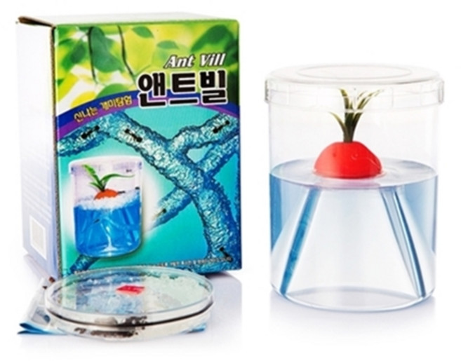 개미키우기세트(개미포함+개미집) 앤트빌/곤충키우기/관찰, 1세트