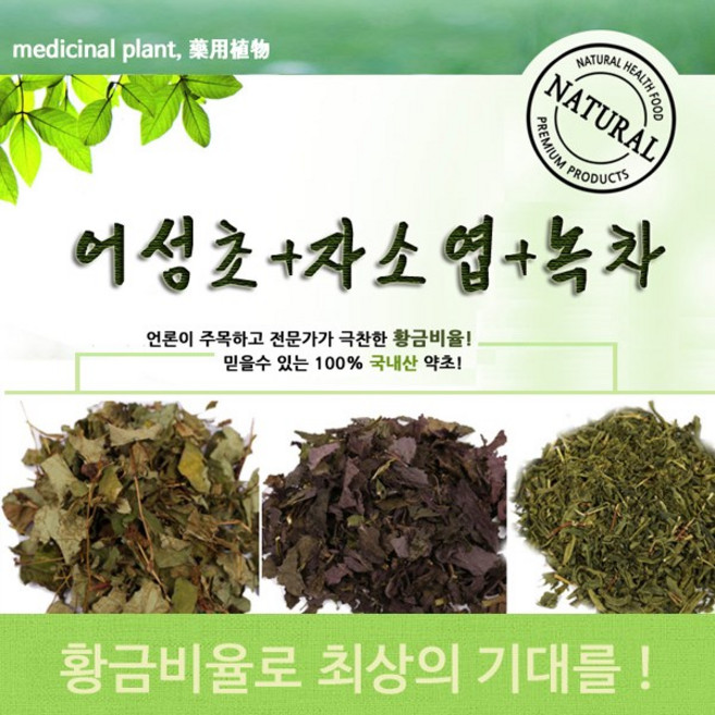 어성초(200g)+자소엽(100g)+녹차잎(100g) 발모팩 발모액 발모차 재료, 1세트, 1g