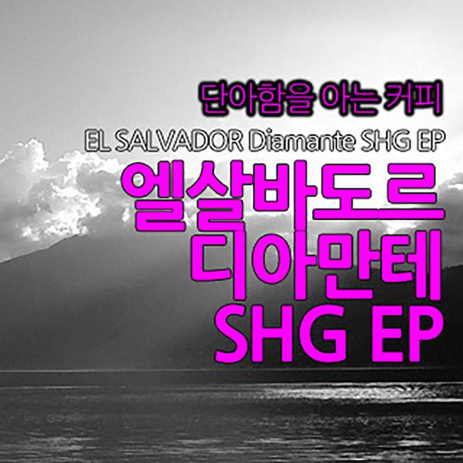 필더컵 엘살바도르 디아만테 SHG EP, 더치분쇄, 1kg, 1개
