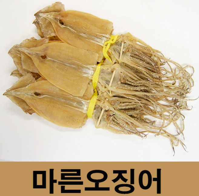 건어물광장 동해안 마른오징어, 마른오징어1.3kg