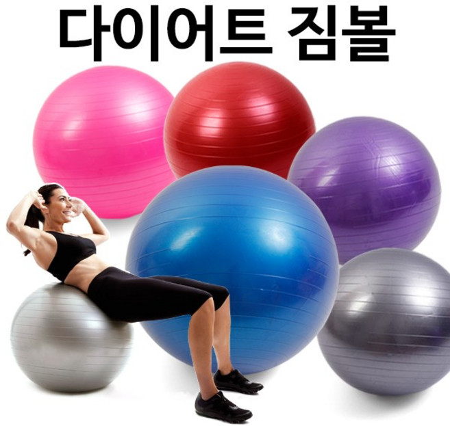 미리내 짐볼(은색)45cm(펌프O)