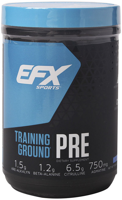 올아메리칸이에프엑스 트레이닝 그라운드 프리 블루베리 750mg, 500g, 1개