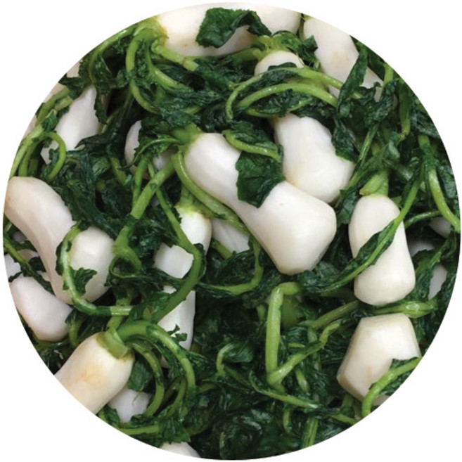 전라밥상 [전라김치] 손질된 토실토실한 절임알타리무, 2kg, 1개
