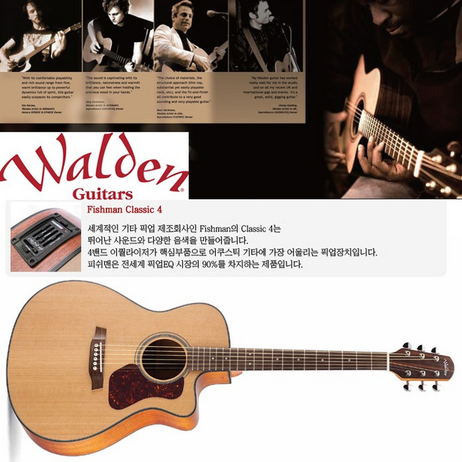 Walden 월든기타[G570CE], 단품, 1개