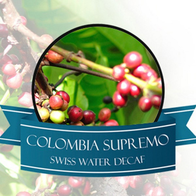 필더컵 콜롬비아 수프리모 스위스 워터 디카페인 원두커피, 원두상태, 200g, 1개