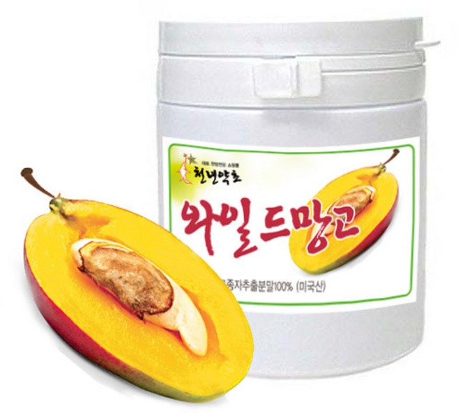 와일드망고종자추출분말 100g 아프리칸망고종자추출분말, 1개
