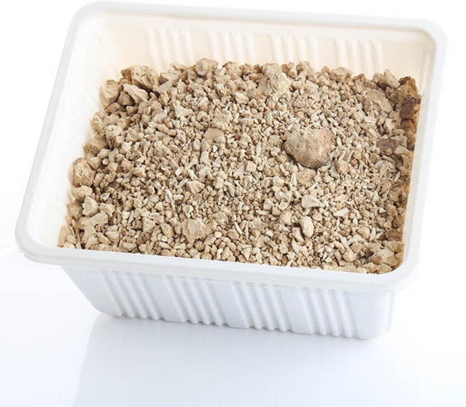 친환경팔도 [옵션선택] 국내가공 도토리묵가루, 350g, 1개