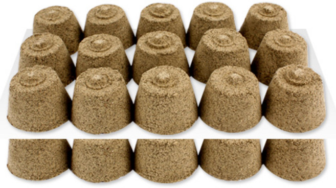 기황 왕쑥봉 30개입, 1개