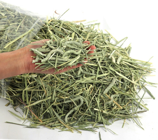 에밀리펫 슈퍼 프리미엄 손질완료 컷팅 티모시건초1kg 토끼건초 토끼사료, 1kg, 1개