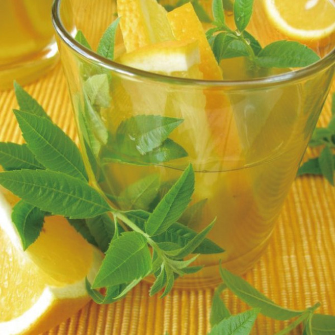 CPL 영국향 프래그런스오일 [시트러스타입], 05. 시트러스버베나 20ml