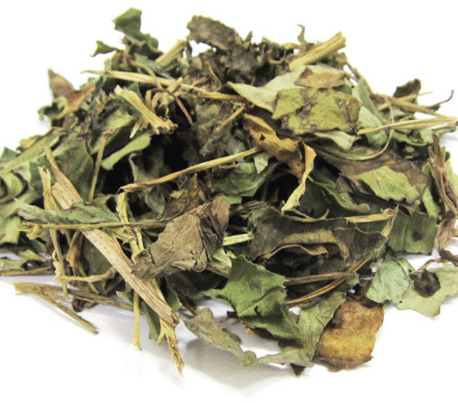 갑당약초 어성초차 300g, 2개