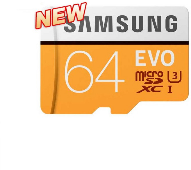 삼성전자 카시오 지즈원 타입-L 신제품 SD 어댑터 포함, 64GB, 1개