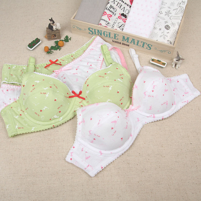 샤통 1010 냐옹이 집회 3단계 브라