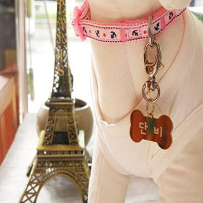 아미펫 강아지 고양이 고리형 이름표 인식표 D형고리 실버, 써지컬 뼈다귀, 1개