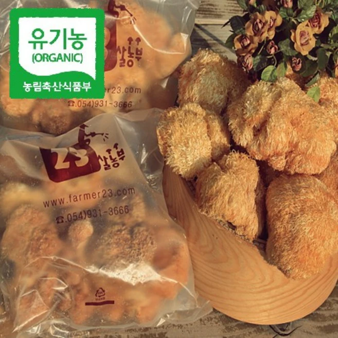 23살농부 [유기농] 노루궁뎅이버섯 건조, 200g (한달분), 1개 - 쿠팡