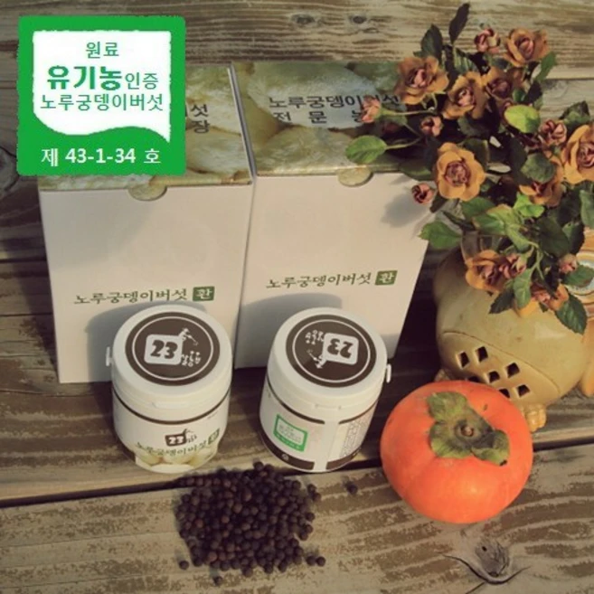 23살농부 [유기농] 노루궁뎅이버섯 환, 200g (한달분), 2개 - 쿠팡