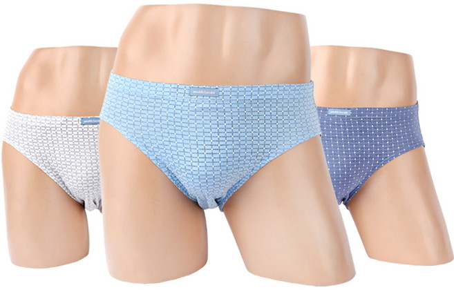 [보생언더웨어] 아날도바시니 남자 삼각팬티 3매 순면100 BAB-1023