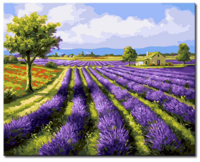 DIY캔버스페인팅 명화그리기, L40_라벤더들판, 1개