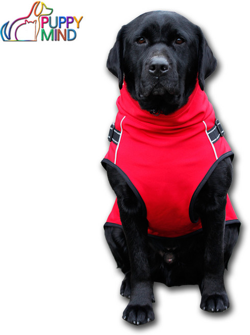 퍼피마인드 대형견 트랙자켓 아웃도어, 레드, 1개