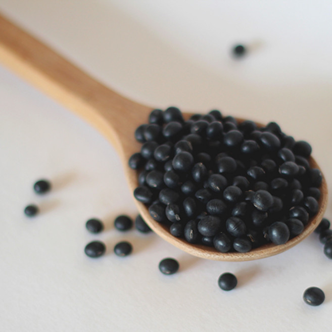 25년산 국산 100% 쥐눈이콩 약콩 콩나물 햇곡, 1개, 500g