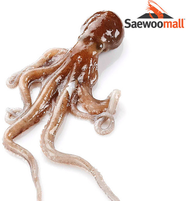 새우몰 냉동 활낙지(중) 850g 6미, 1개