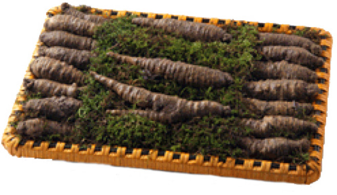 금산인삼 더덕선물세트, 1박스, 더덕(상)1호600g