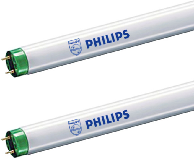 필립스 직관형광등 32W 삼파장 1박스=25EA, 주광색, 25개