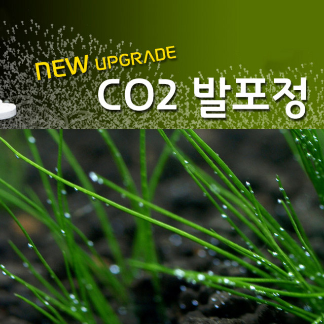 365수족관 수초 Co2 알약 12정, 1개
