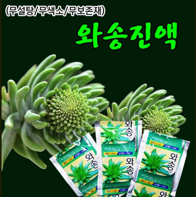 장수명가 와송즙, 100ml, 60포