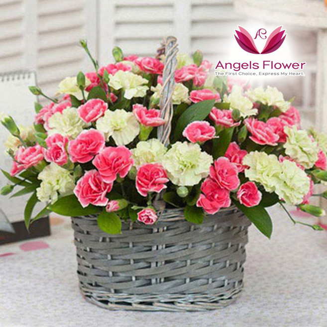 [엔젤스플라워] 축하화환 근조화환 3단 4단 5단 일반형 고급형 꽃배달서비스 당일배송 예약일배송, W08_축하바구니_고급형, 1개