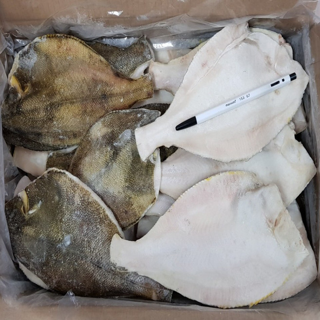 프라임 손질가자미 (냉동수산물), 1박스, 4.5KG(20-25마리)