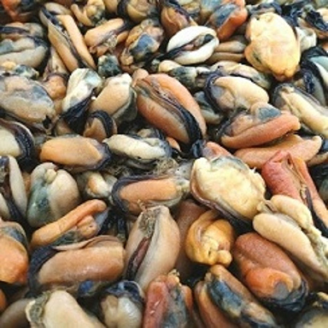 통영제철수산물 당일조업발송, 1개, 건홍합(중싸이즈) 500g