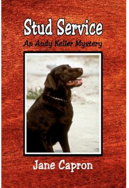 Stud Service Paperback, Createspace