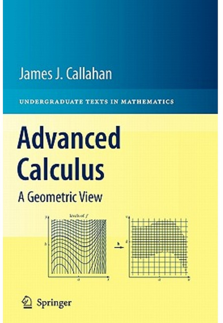Advanced Calculus: A Geometric View Hardcover, Springer