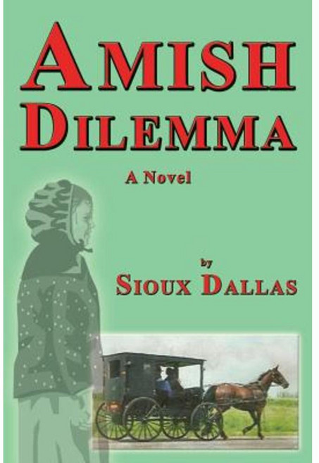Amish Dilemma Paperback, CCB Publishing