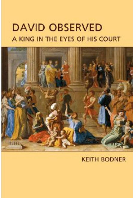 David Observed: A King in the Eyes of His Court Paperback, Sheffield Phoenix Press Ltd