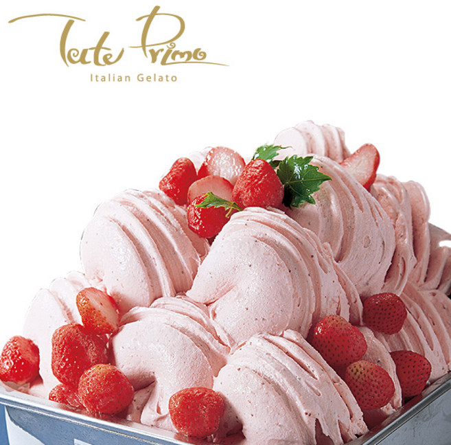 파브리 젤라또 9.5L 스트로베리 대용량 아이스크림 구 쥬조, 1개