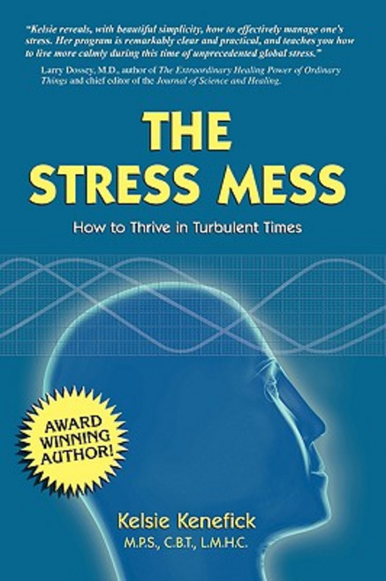 The Stress Mess: How to Thrive in Turbulent Times Paperback, Roots and Wings Pub.