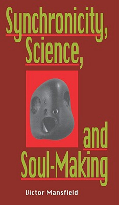 Synchronicity Science and Soulmaking: Understanding Jungian Syncronicity Through Physics Buddhism and Philosphy Paperback, Open Court