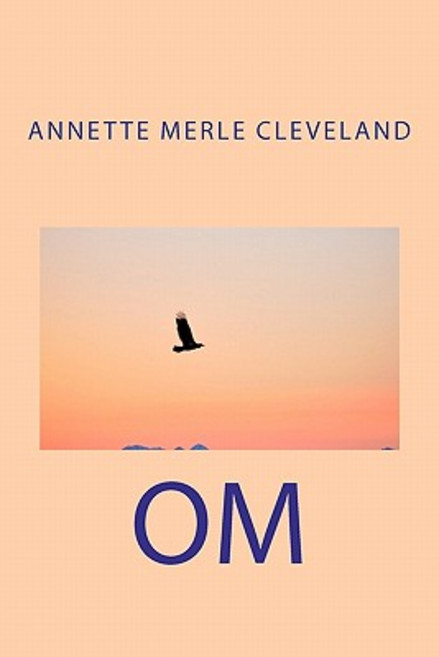 Om Paperback, Createspace Independent Publishing Platform