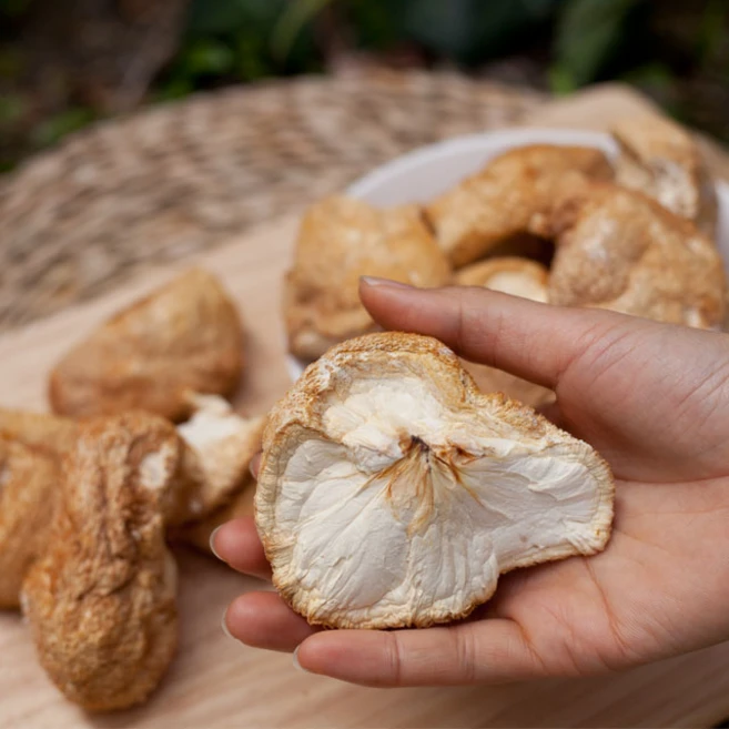 셋째딸농부 노루궁뎅이버섯 무농약 생버섯 건조, 1개, 100g건조 - 쿠팡