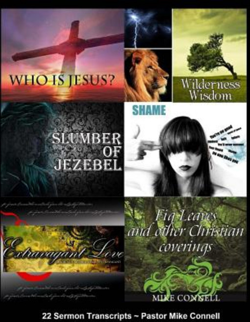 Who Is Jesus Wilderness Wisdom Slumber of Jezebel Everlasting Love Fig Leaves & Other Christian Coveri..., Createspace Independent Publishing Platform