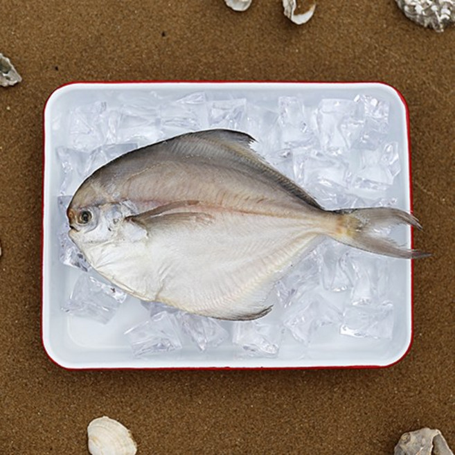 [으뜸해수산] 반건조 생선 병어 (손질 병어), 1개, 28cm전후(특대)