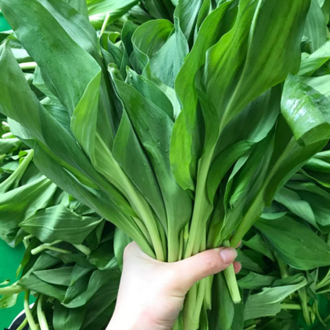 해마을 강원도 오대산 명이나물(대명이)산마늘, 1개, 2kg