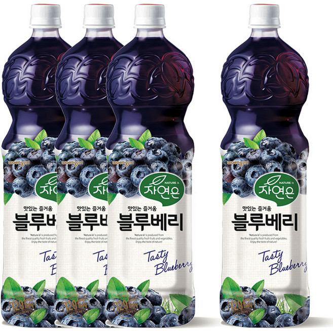 자연은 120일 블루베리 1.5L, 4개