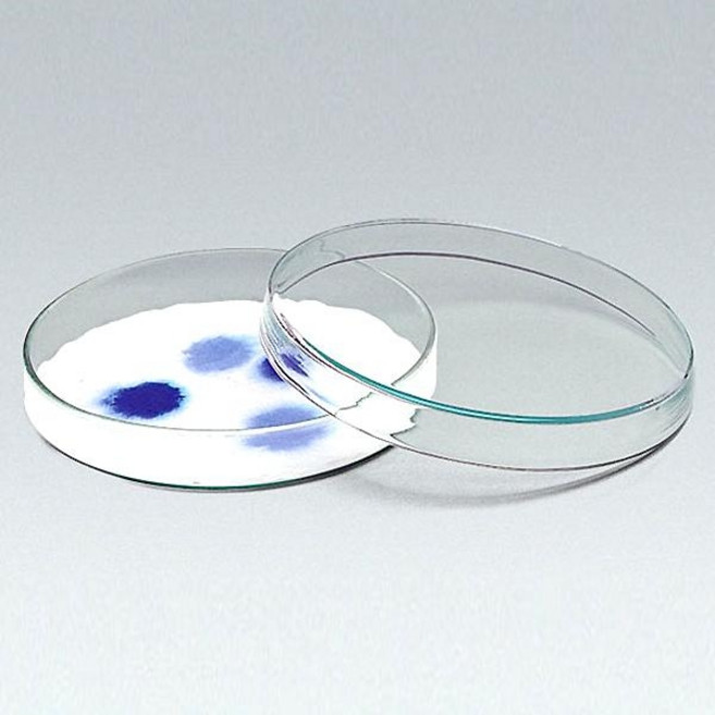 페트리접시/샬레∮150mm/JS-4569