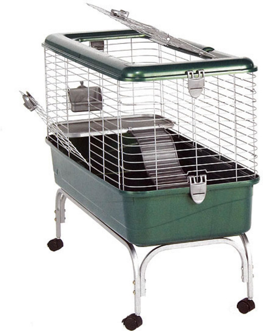 KAYTEE 케이티 해비타트 토끼 홈, 단일, 1개