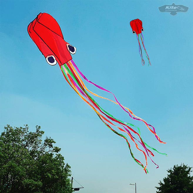 buluinara 조립이 필요 없는 문어연 연날리기, free