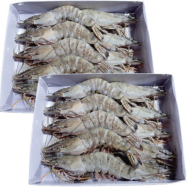 힘찬푸드 블랙타이거새우 대하 10미 1+1, 1개, 500g*2팩